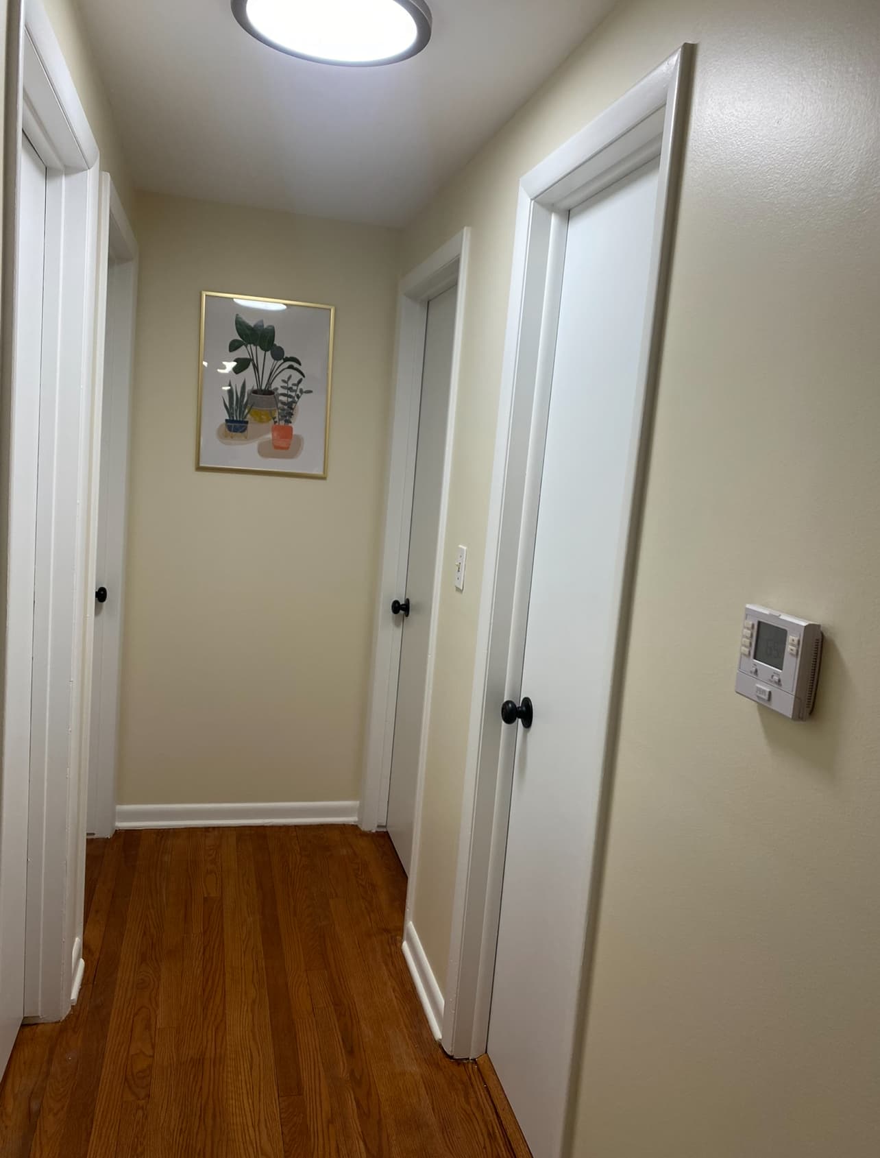 Clean hallway with fresh white paint and white trim
