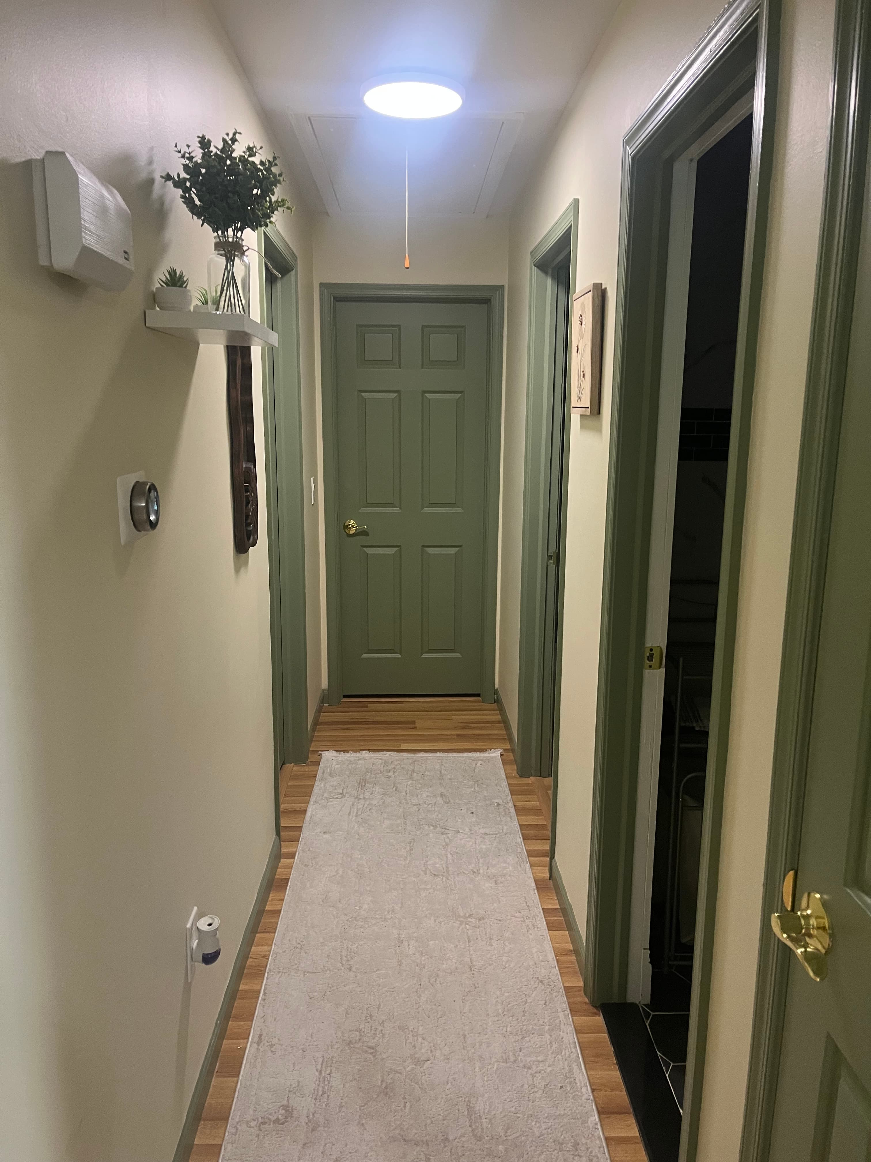 Green accent wall room with elegant white trim